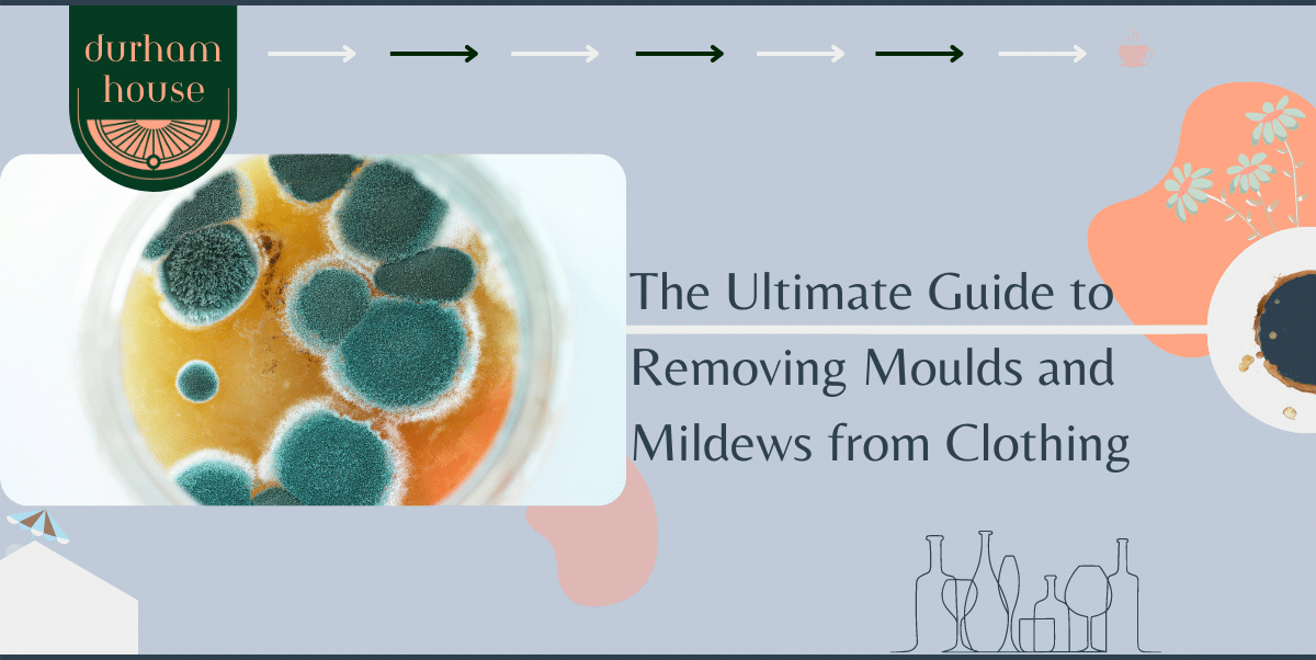 Mould article feature image