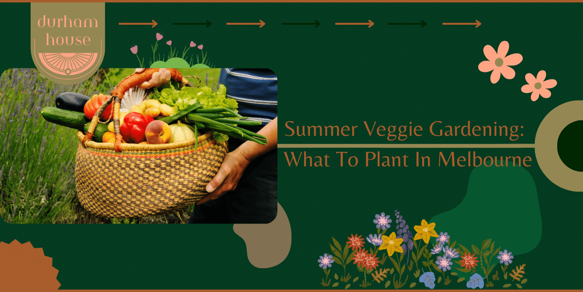 Summer veggie