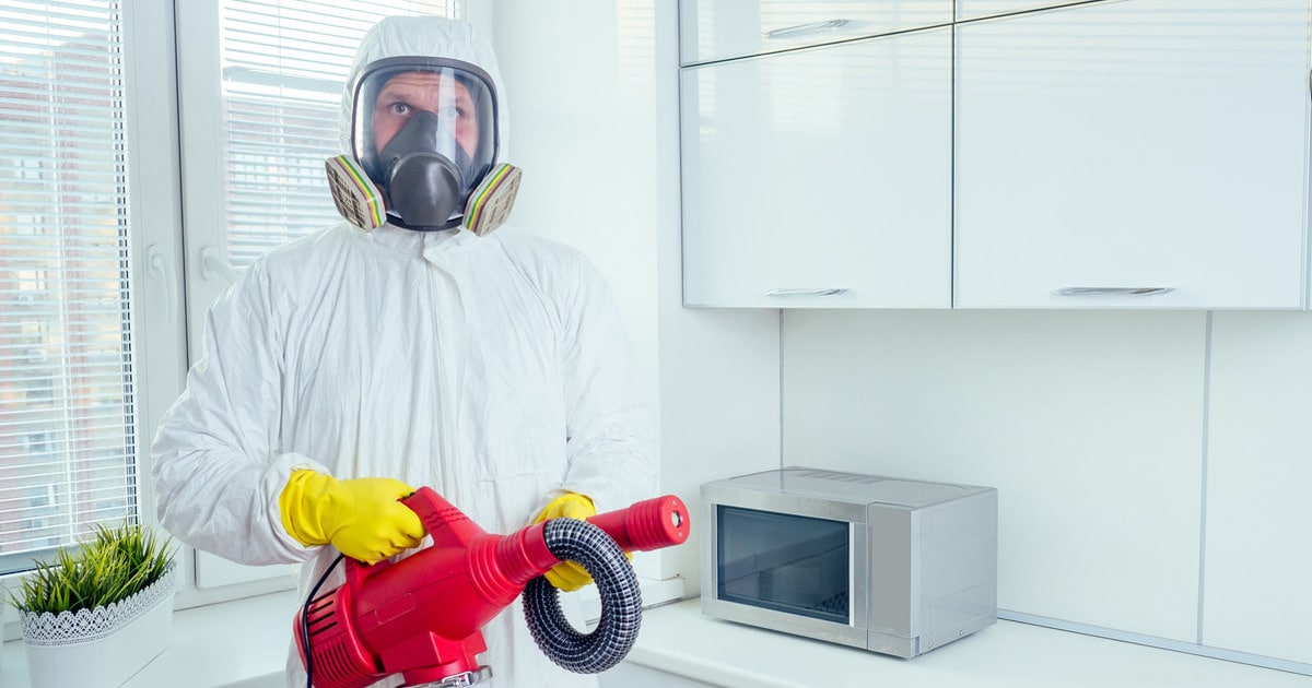 Read more about the article Do I Need Pre-Construction Pest Control?