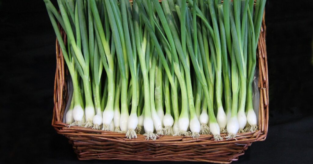 a wicker basket filled with green onions.